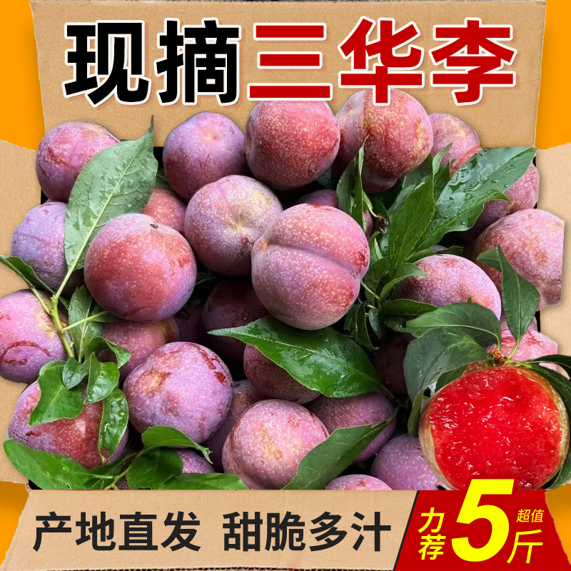 正宗茂名红心三华李新鲜水果