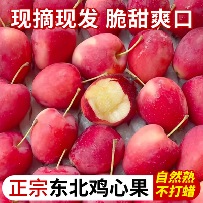 东北鸡心果新鲜整箱当季水果