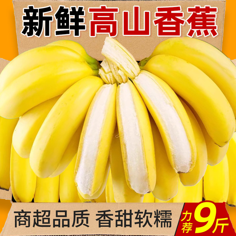 高山威廉斯甜香蕉新鲜水果当季现摘大芭蕉小米蕉甜香蕉整箱自然熟