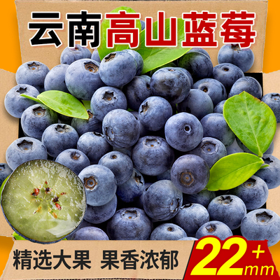 云南高山蓝莓王力荐8盒包邮