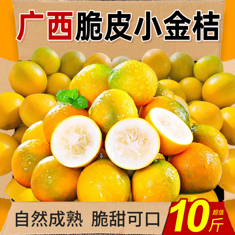 广西融安脆皮小金桔力荐10斤包邮