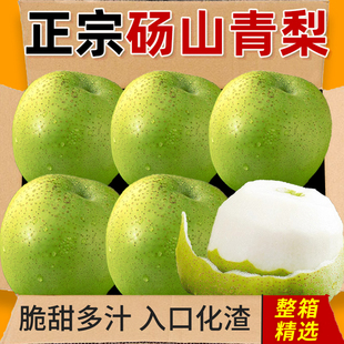 梨子正宗砀山皇冠青梨当季水果现摘安徽皇翠冠整箱青梨香梨雪梨