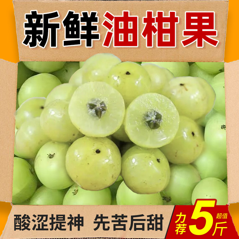 油甘果新鲜采摘余甘果榨汁果