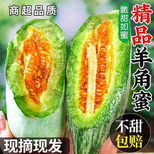 山东羊角蜜甜瓜水果香瓜应当季新鲜整箱9哈蜜瓜老式密瓜包邮博洋9