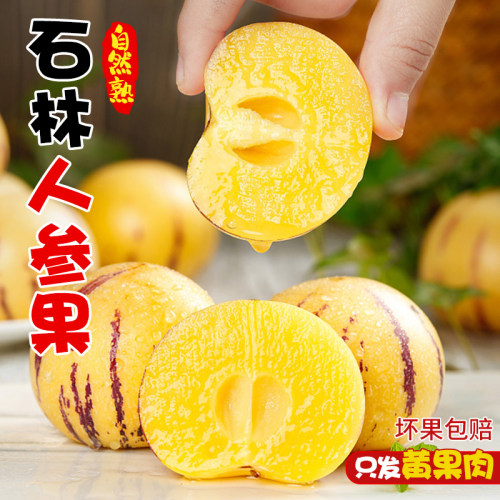 云南石林人参果10斤新鲜大果