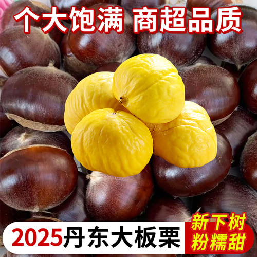 东北新鲜下树正宗丹东生板栗