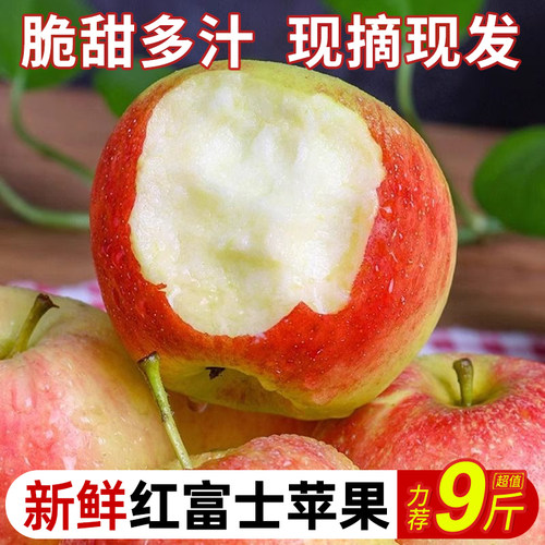 新鲜嘎啦苹果10斤装当季