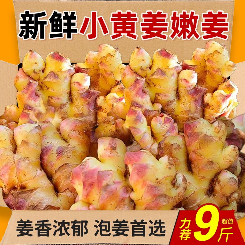 云南小黄姜嫩姜新鲜大块