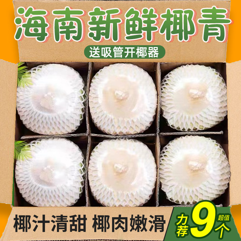 海南椰青新鲜现摘9个老树椰子