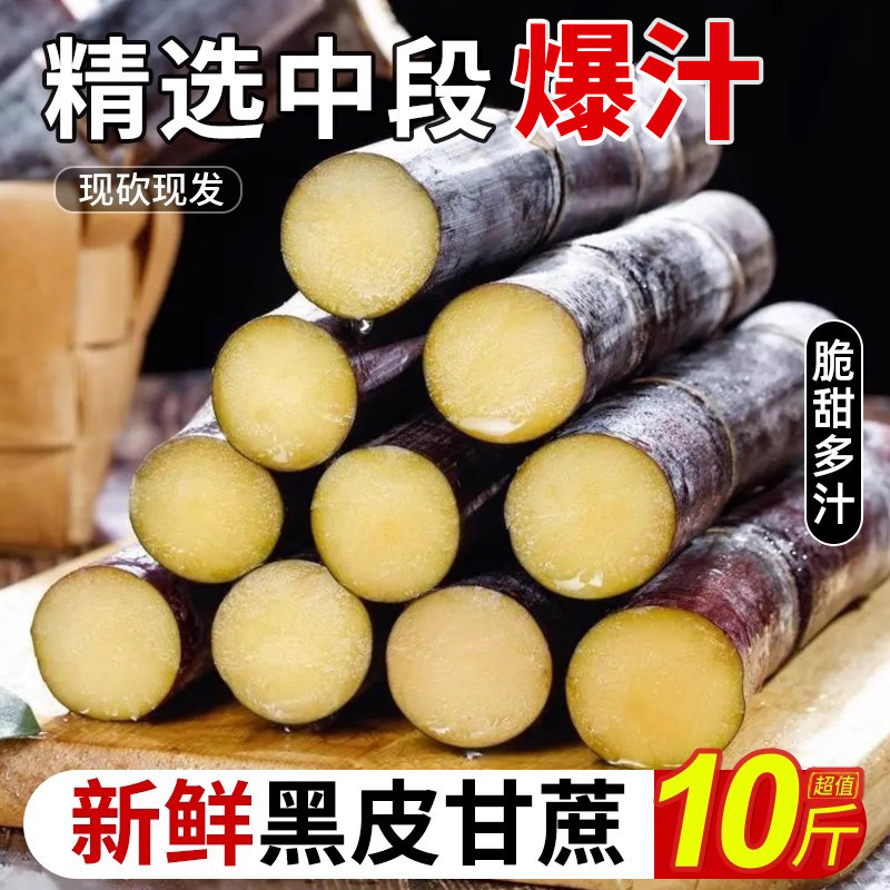 广西黑皮甘蔗当季新鲜现砍脆甜蔗甜杆榨汁甘蔗特产包邮不送削皮刀,水产肉类/新鲜蔬果/熟食,甘蔗,淘宝优惠券,粉丝福利购,淘宝优惠卷