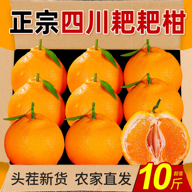 正宗四川春见耙耙柑粑粑柑10斤新鲜超甜当季孕妇水果丑桔橘子整箱,水产肉类/新鲜蔬果/熟食,桔子,淘宝优惠券,粉丝福利购,淘宝优惠卷