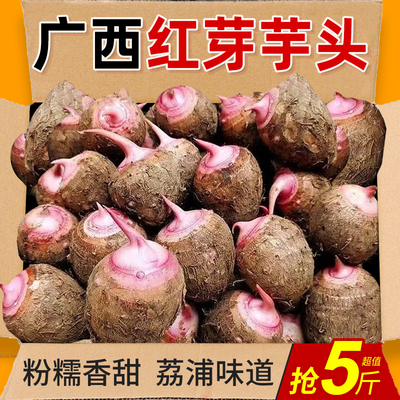 荔浦红芽芋头小芋仔力荐5斤