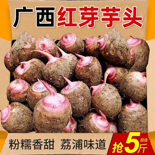 荔浦红芽芋头小芋仔力荐5斤