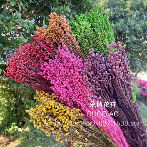 云南源头厂家珊瑚果永生花干花家居装饰拍摄道具花束diy材料
