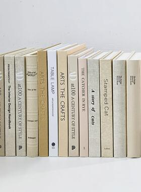 现代简约米白色装饰真书样板间样品屋展示中心客厅书柜饰品彷真书