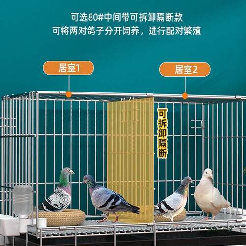 信鸽笼家用养殖笼折叠配对笼鸽子用品用具鸽笼加密双层