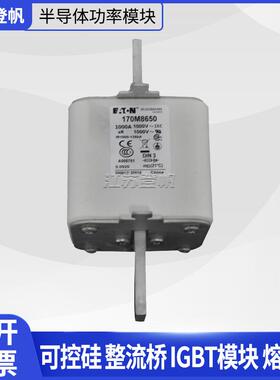 170M8650 170M4956 170M5410 170M2620伊顿巴斯曼熔断器保险丝