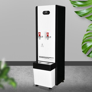 双龙头节能连续开水机医院用开水器EK B40直饮机节能开水机