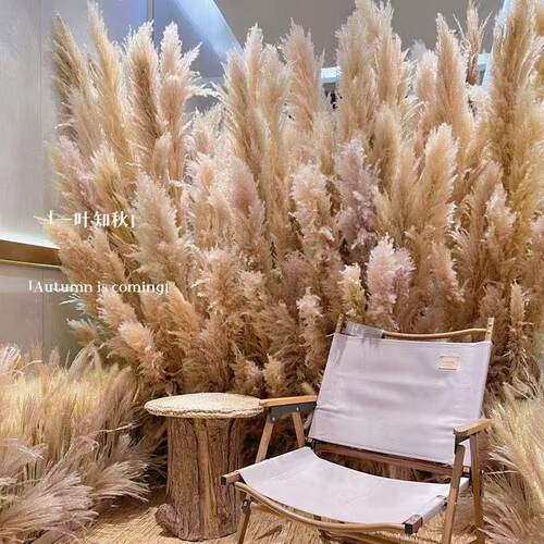 花朵装饰婚庆布置摆设创意客厅