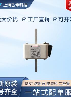 巴斯曼熔断器 170M6652 170M6653 170M6658 170M6659 170M6660