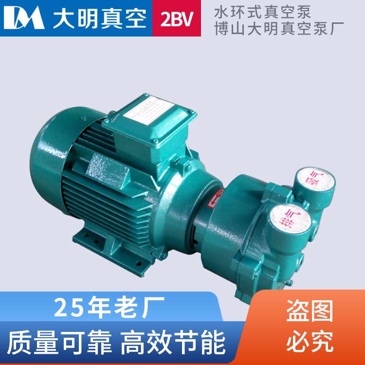 2BV2070水环式真空泵厂家直供 2BV2.35KW 不锈钢水环真空泵