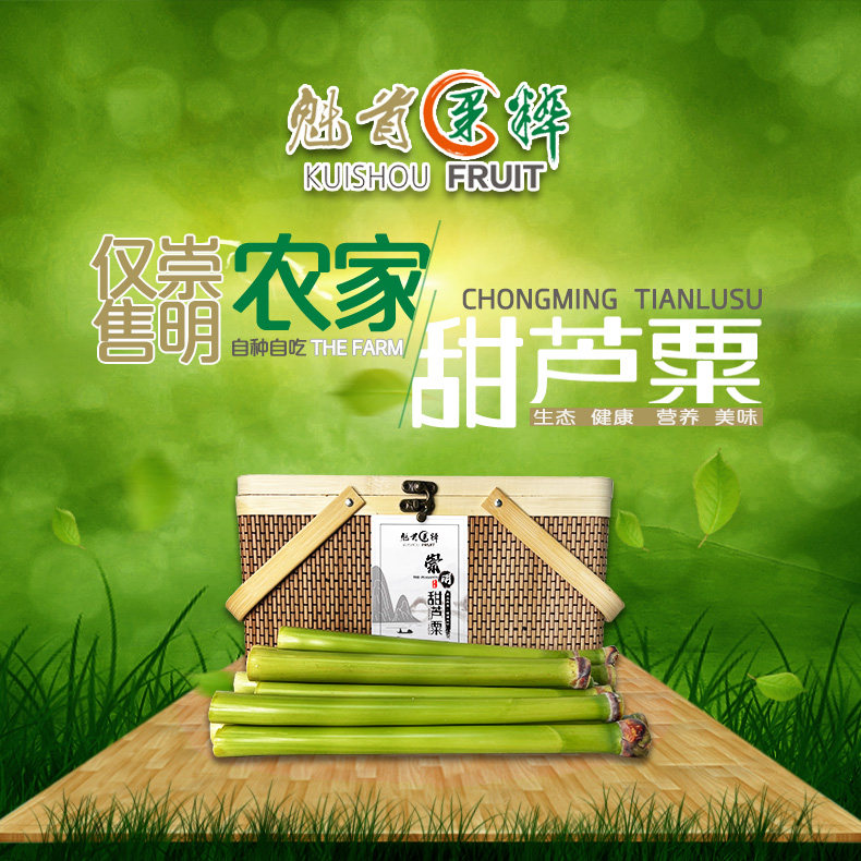 正宗上海崇明甜芦粟甜杆甜高粱杆 小甘蔗 青皮甘蔗 新鲜当季水果