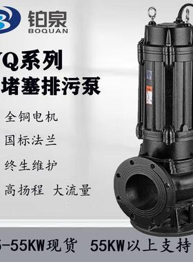 WQ污水泵无堵塞高扬程380V污水处理泵厂家地下室防汛抽水排污泵