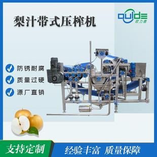 直售全自动商用梨汁带式 榨汁机不锈钢工业蔬菜水果榨汁机脱水机