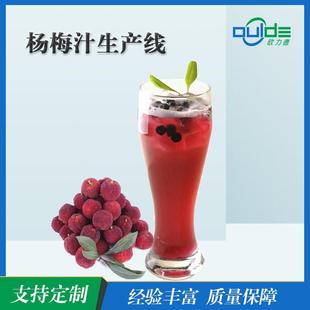 大小型果汁果酱饮料全自动生产线厂杨梅汁生产设备