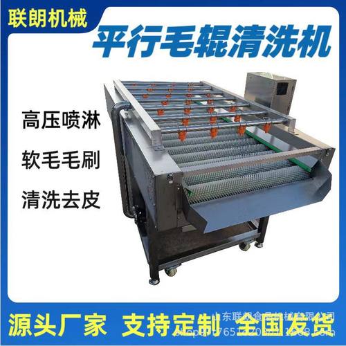 土豆去皮毛辊清洗机萝卜芋头毛刷去泥沙清洗设备气泡喷淋式洗菜机