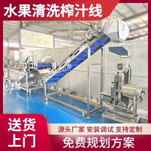 苹果清洗榨汁设备 水果榨汁生产线 番茄秋梨清洗榨汁机