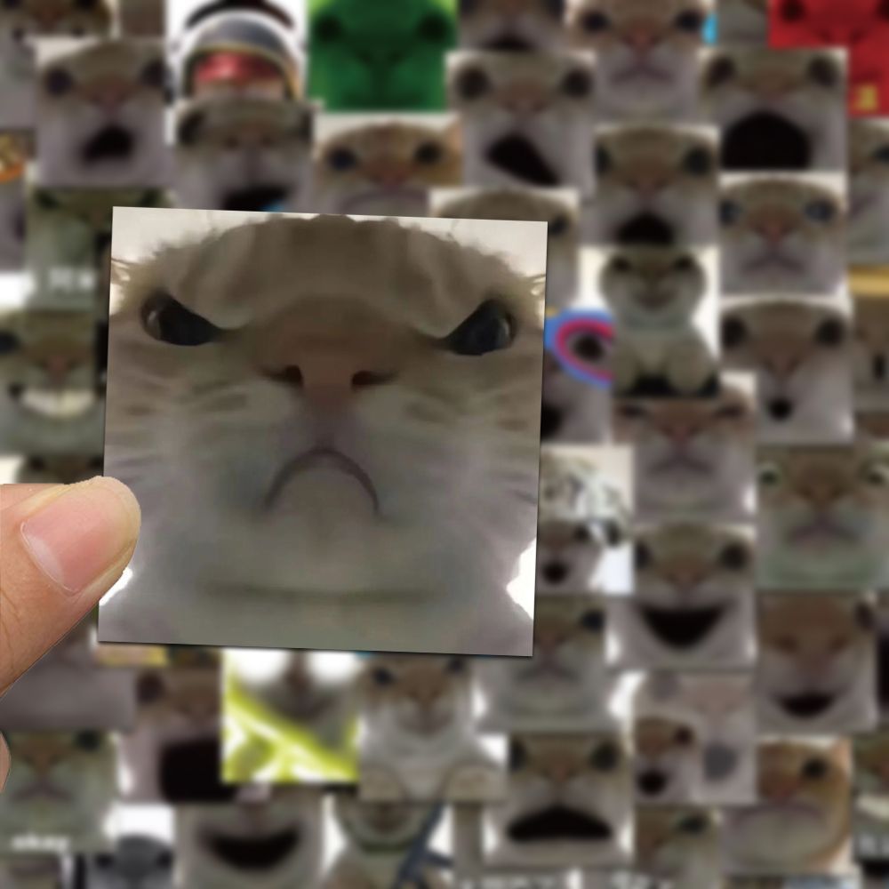 126张趣味搞怪无字发疯猫猫头