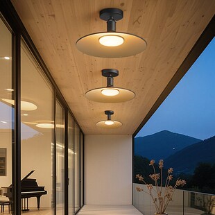 新款防虫防水防尘阳台灯超亮led室外玻璃雨棚灯走廊阳光房吸顶灯