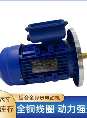 220V双电容单相异步电动机YC/YL7124-0.37W电机可非标订货厂家