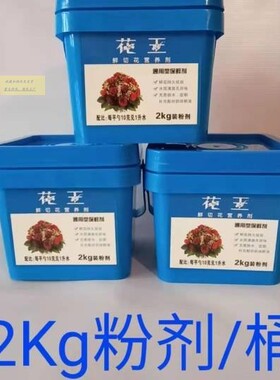 花王鲜花保鲜剂2KG 花店通用型鲜花营养液延长剂