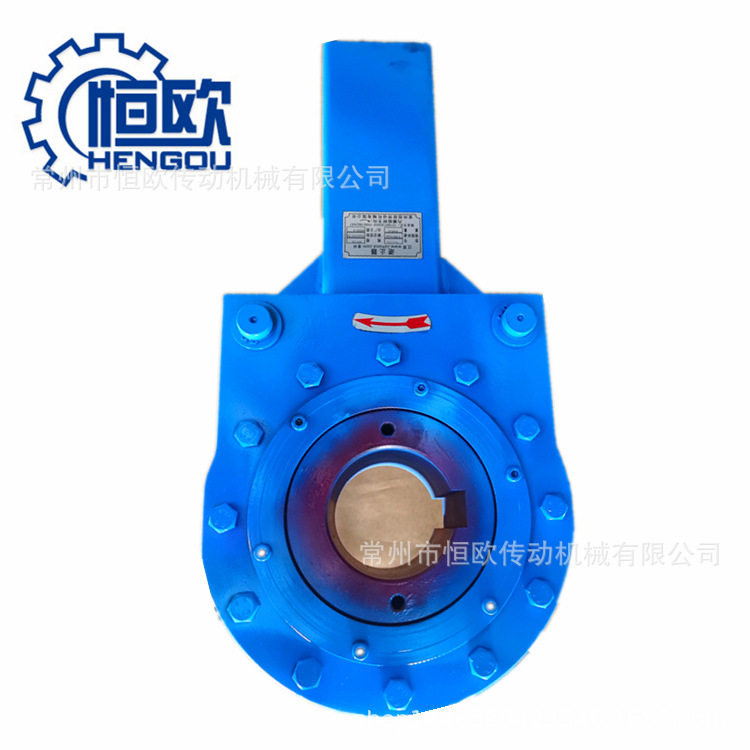 供应矿用皮带输送机逆止器NDZ500