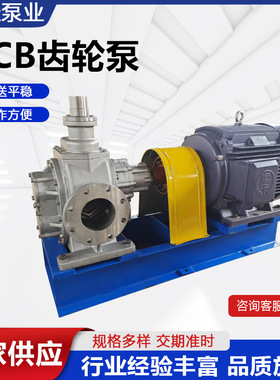 齿轮泵KCB1600大流量齿轮泵 95立方不锈钢齿轮油泵 抽油泵