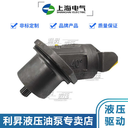 上海电气柱塞马达油泵A2FE56/63/80/90/107/125W6.1VZL10PT20-17
