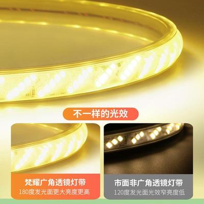 户外le2d防水灯20v工程外墙低压4v超亮带养殖工地LZI照明塔2吊灯