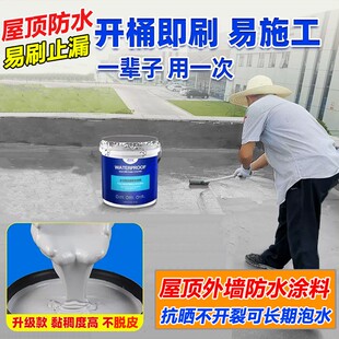 屋顶防水涂料补漏材料房顶楼顶聚氨酯沥青防漏喷剂外墙堵漏王胶水