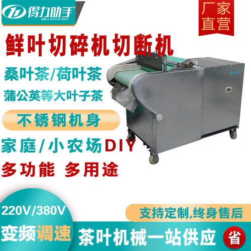 得力搅拌机中草切片荷叶蔬菜切丝电动根茎粉碎食品级输送切菜机
