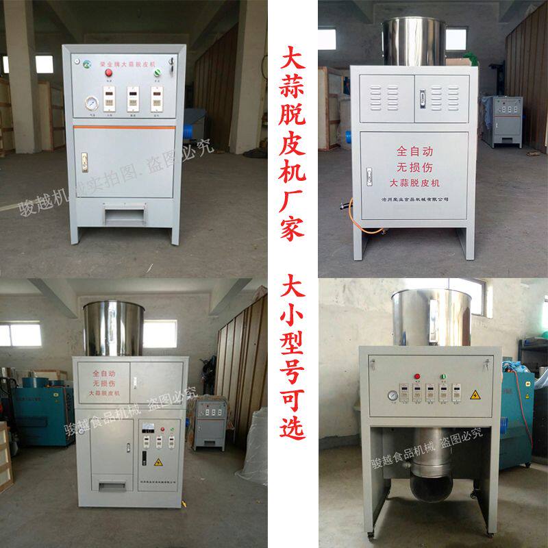 全自动大蒜去皮机厂家直
