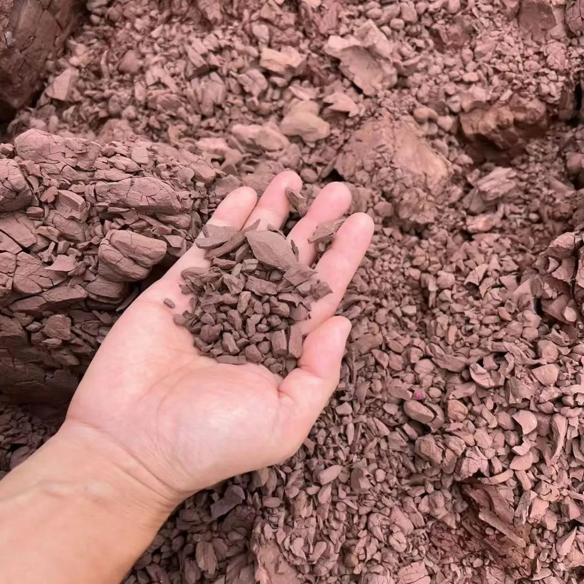 颗粒风化石簕竹土黄杨木岩柏土生根多肉土兰花茶花颗粒土