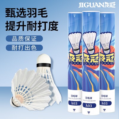 飞行稳定超耐打天然羽毛球