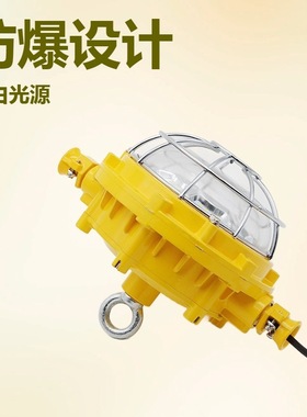 DGS50/127L矿用隔爆型LED巷道灯厂家现货50W煤矿井下防爆灯
