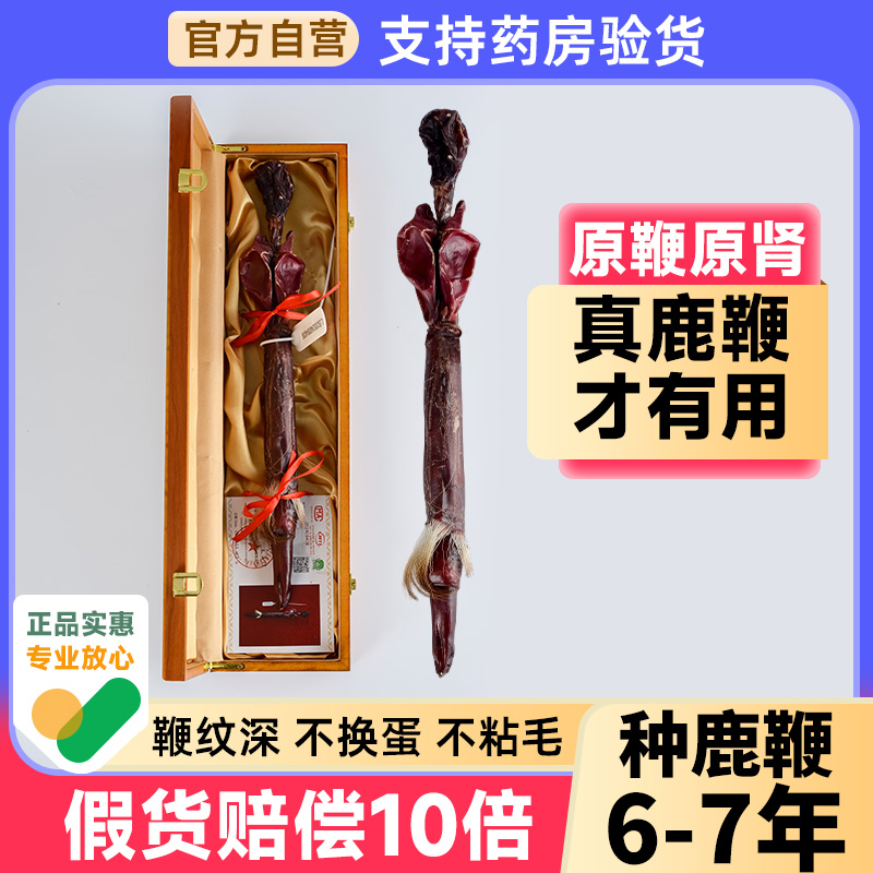 梅花鹿鹿鞭干整根正品吉林正宗人参鞭片泡酒专用养生鹿茸血鹿鞭酒