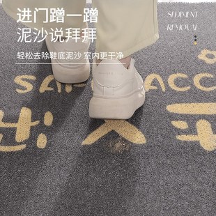 入门玄关地 入户门垫进门地垫家用门口防u滑耐脏丝圈脚垫2024新款