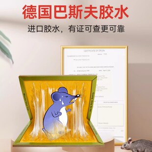达豪粘鼠板强力h胶粘大老鼠室内户外捕捉食堂商用厨房老鼠贴超大