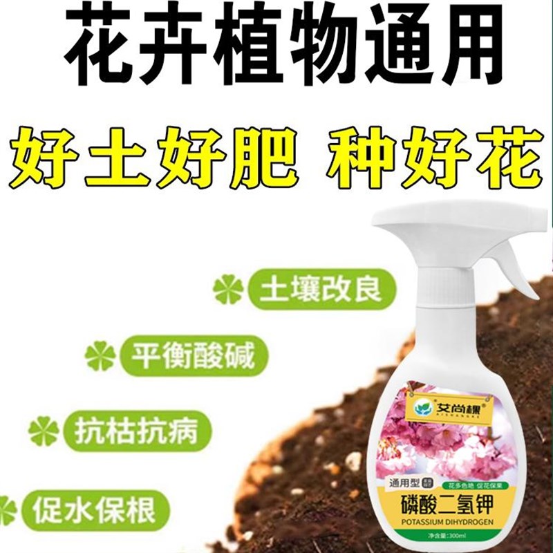 小叶紫檀肥料急救叶子r发黄枯萎掉叶赤楠黄杨盆景营养液盆栽土