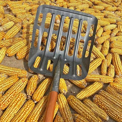 收玉米空a心铁锹玉米棒芯圆头平头加大锰钢漏眼核桃铲镂空筛土网